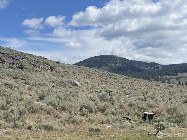 16 Breezy Ln, Tonasket, WA 98855 - photo 25