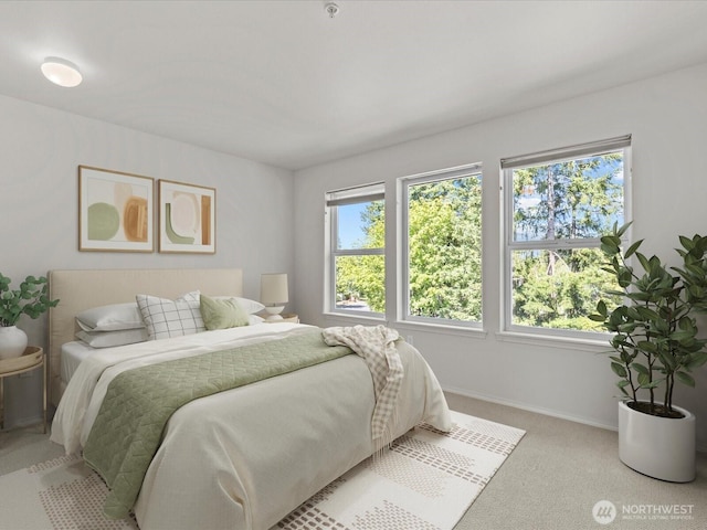 22496 SE 37th Ter Unit 1381, Issaquah, WA 98029 - photo 18