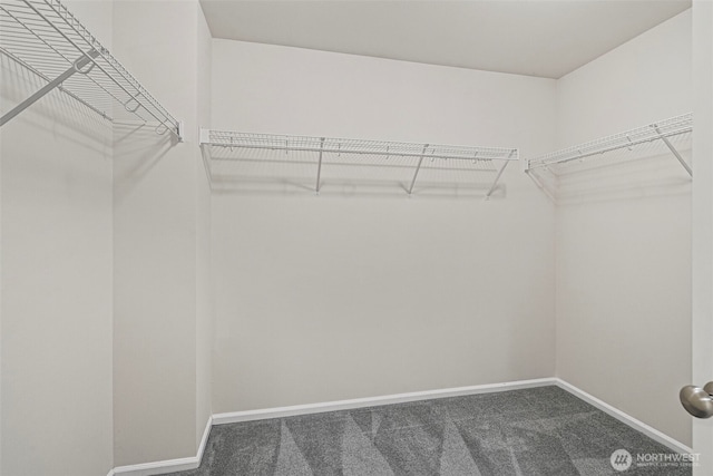 4318 3rd Ave NW, Olympia, WA 98502 - walk in closet with dark colored carpet