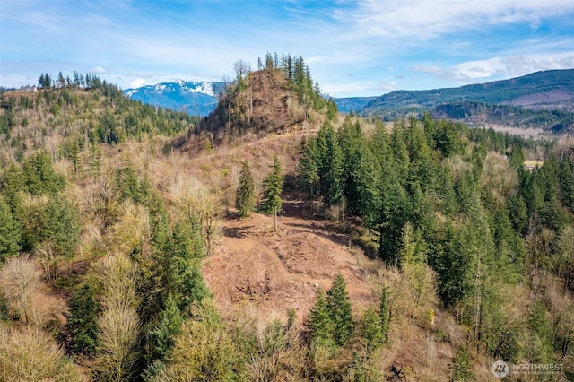 48XX Reese Hill Rd, Sumas, WA 98295