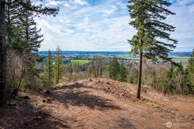 48XX Reese Hill Rd, Sumas, WA 98295