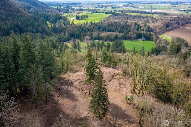 48XX Reese Hill Rd, Sumas, WA 98295