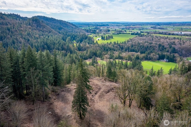 48XX Reese Hill Rd, Sumas, WA 98295
