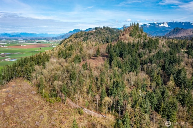 48XX Reese Hill Rd, Sumas, WA 98295