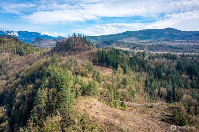 48XX Reese Hill Rd, Sumas, WA 98295