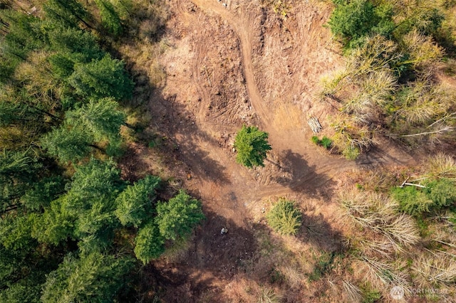 48XX Reese Hill Rd, Sumas, WA 98295