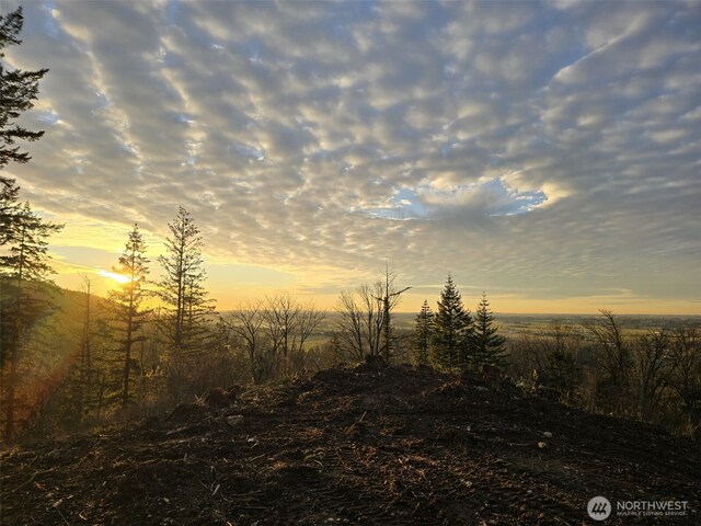48XX Reese Hill Rd, Sumas, WA 98295