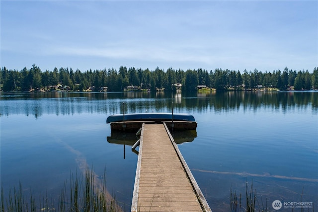 1901 E Trails End Dr, Belfair, WA 98528 - photo 3