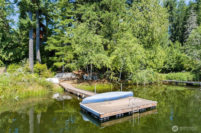 1901 E Trails End Dr, Belfair, WA 98528 - photo 4