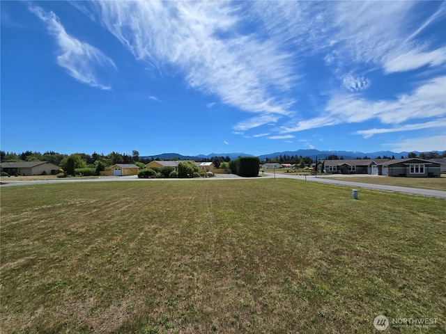 71 Falconcrest Ct, Sequim, WA 98382 - view of green lawn with a mountain view