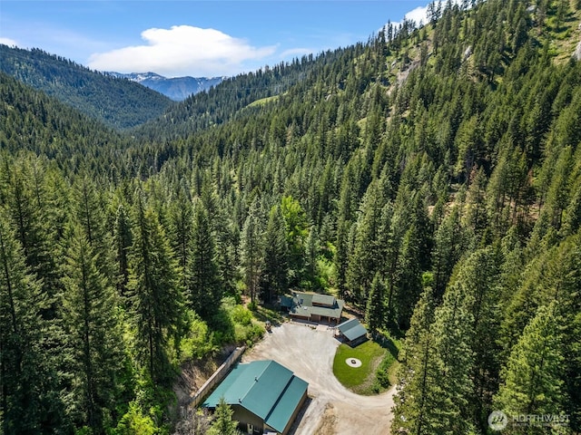 16845 Second Creek Rd, Leavenworth, WA 98826 - view of subject property with a heavily wooded area and a mountain backdrop