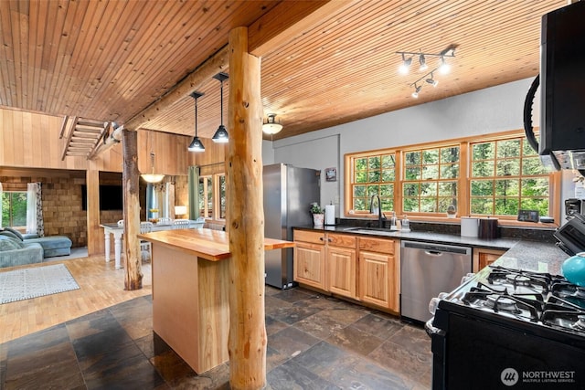 16845 Second Creek Rd, Leavenworth, WA 98826 - kitchen with butcher block counters, stainless steel appliances, wooden ceiling, open floor plan, and plenty of natural light