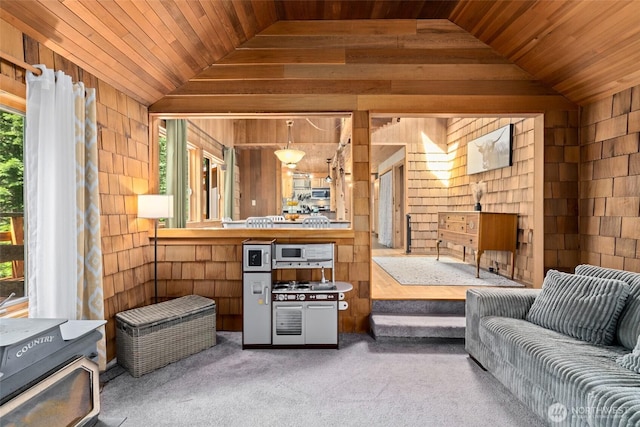16845 Second Creek Rd, Leavenworth, WA 98826 - living area with vaulted ceiling, wood walls, wood ceiling, and carpet flooring
