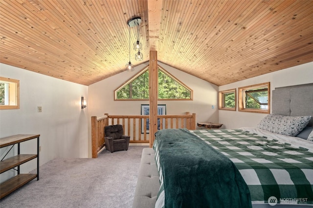 16845 Second Creek Rd, Leavenworth, WA 98826 - bedroom with carpet floors, lofted ceiling, and wood ceiling