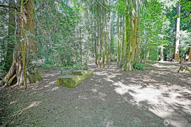 28407 Pioneer Hwy, Stanwood, WA 98292 - photo 35