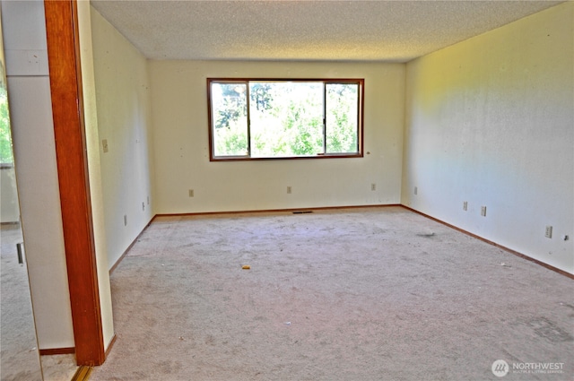 113 19th Ave SE, Puyallup, WA 98372 - spare room featuring a textured ceiling and carpet floors
