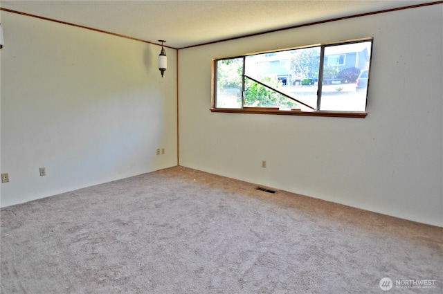 113 19th Ave SE, Puyallup, WA 98372 - unfurnished room with carpet flooring