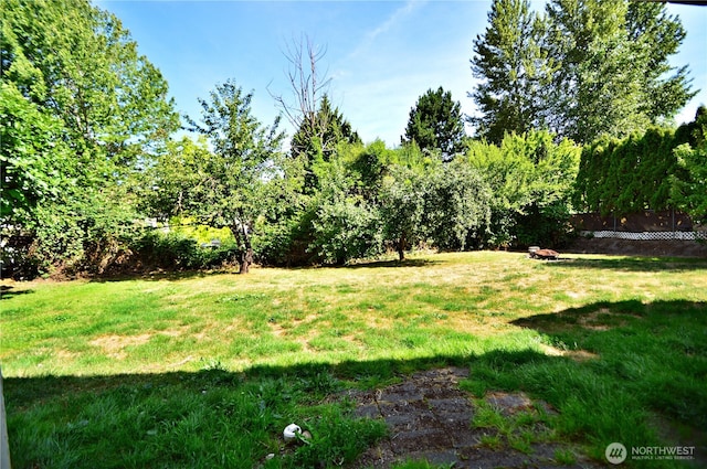 113 19th Ave SE, Puyallup, WA 98372 - view of yard