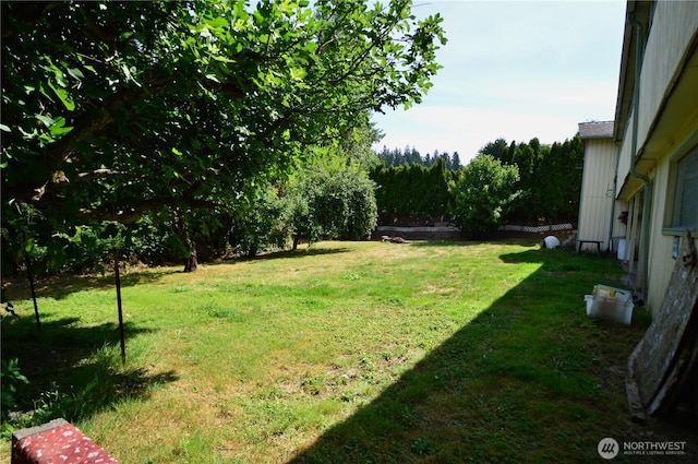 113 19th Ave SE, Puyallup, WA 98372 - view of grassy yard