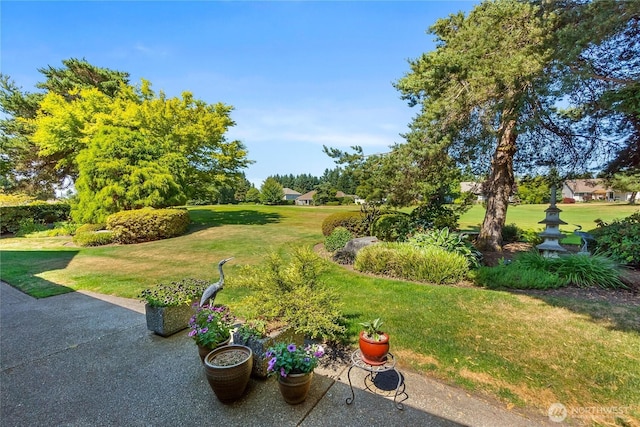 3912 Prestwick Ln SE, Olympia, WA 98501 - view of green lawn
