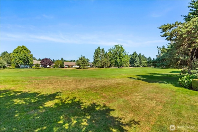 3912 Prestwick Ln SE, Olympia, WA 98501 - view of community with view of golf course and a lawn