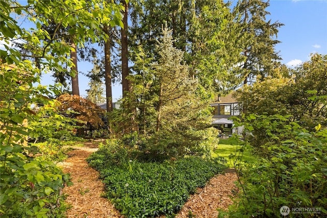 118 NW 132nd St, Seattle, WA 98177 - view of yard