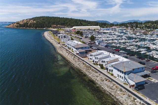 2401 Skyline Way Unit 203E, Anacortes, WA 98221 - aerial view of a water and mountain view