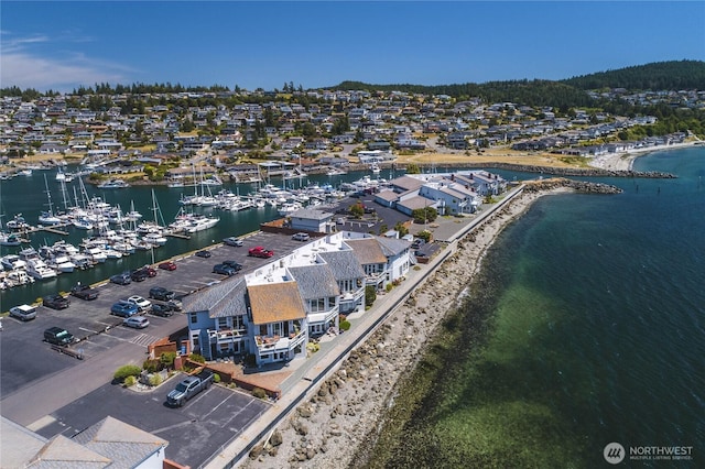 2401 Skyline Way Unit 203E, Anacortes, WA 98221 - bird's eye view of a large body of water and numerous boat docks