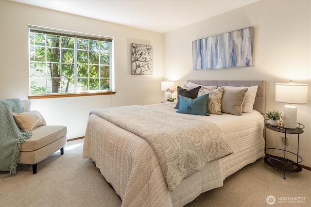 9004 20th Ave NE, Seattle, WA 98115 - bedroom with carpet flooring and baseboards