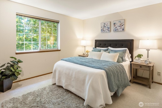 9004 20th Ave NE, Seattle, WA 98115 - bedroom with carpet flooring and baseboards