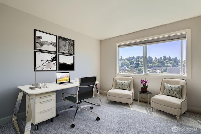 2514 57th Ave SW Unit 301, Seattle, WA 98116 - home office with carpet and baseboards