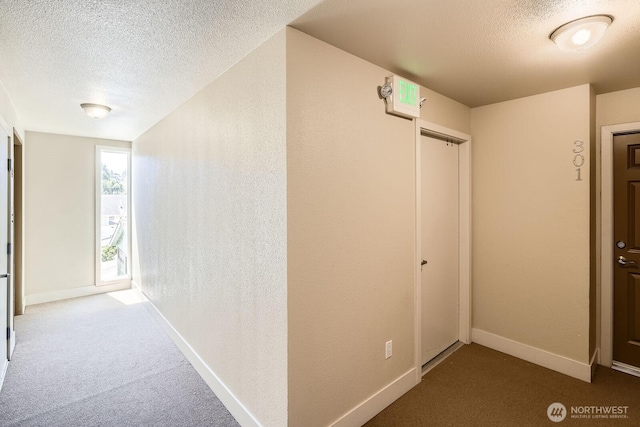 2514 57th Ave SW Unit 301, Seattle, WA 98116 - hall featuring a textured ceiling and carpet