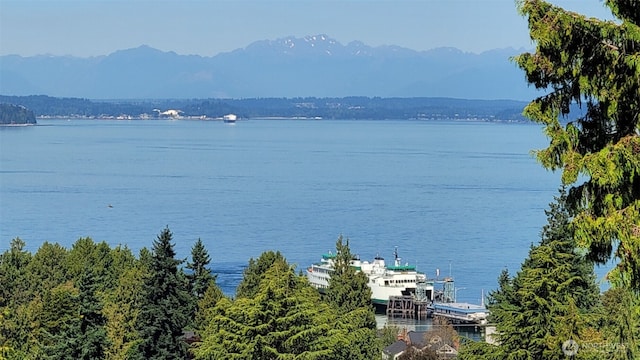 9315 California Ave SW, Seattle, WA 98136 - photo 1