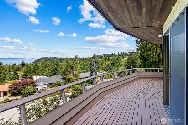9315 California Ave SW, Seattle, WA 98136 - photo 17
