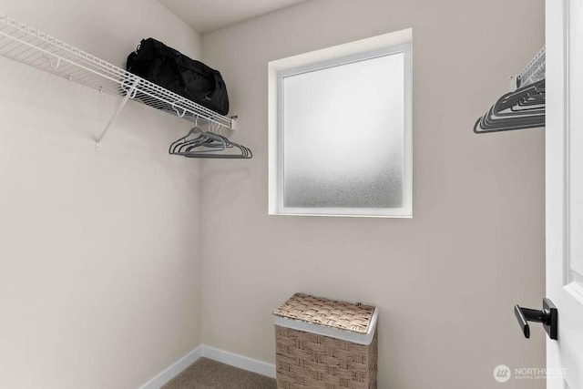 14707 87th Ave SE Unit W1, Snohomish, WA 98296 - spacious closet with carpet floors