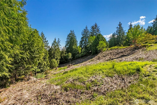 639 Rainier Ln, Port Ludlow, WA 98365 - photo 7