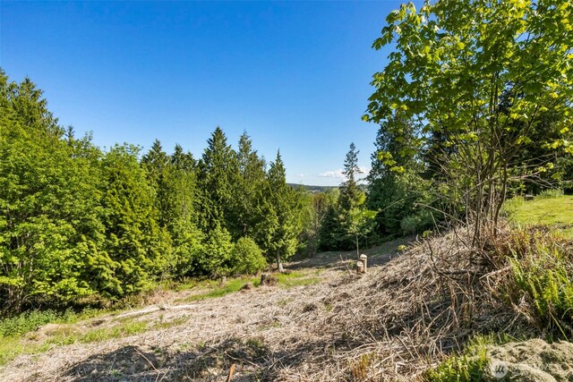 639 Rainier Ln, Port Ludlow, WA 98365 - photo 8