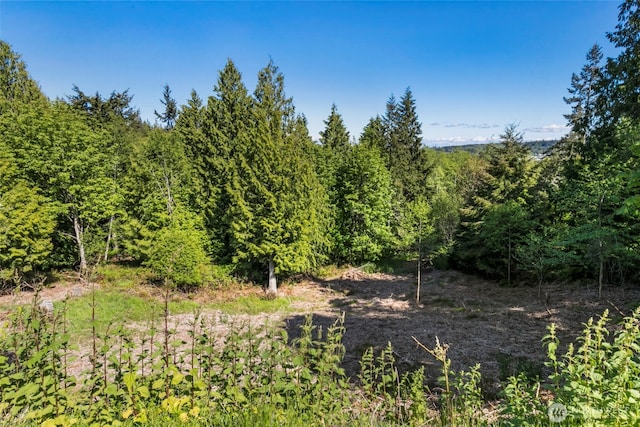 639 Rainier Ln, Port Ludlow, WA 98365 - photo 9