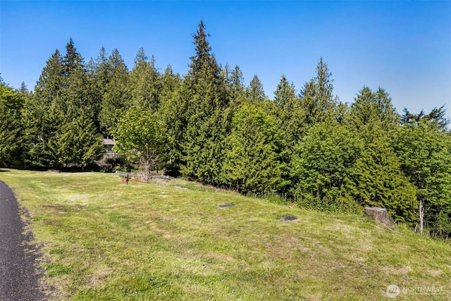 639 Rainier Ln, Port Ludlow, WA 98365 - photo 10