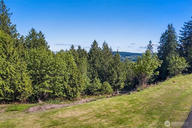 639 Rainier Ln, Port Ludlow, WA 98365 - photo 11