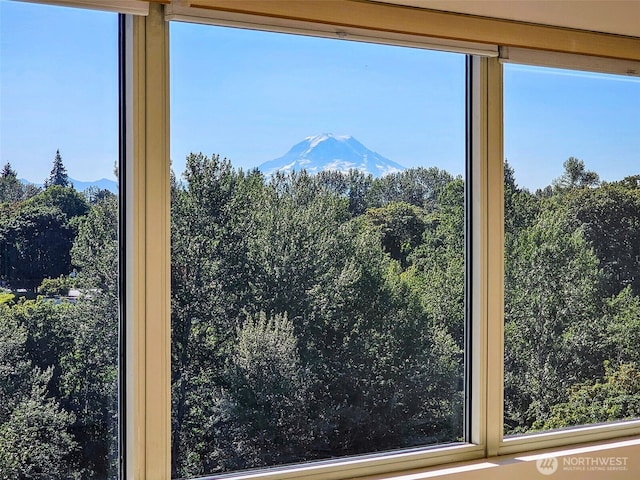 3201 Pacific Ave Unit 602, Tacoma, WA 98418 - detailed view of mountains