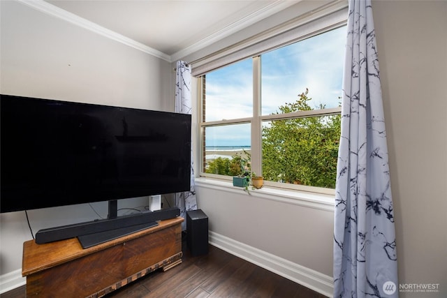 960 Harris Ave Unit 305, Bellingham, WA 98225 - bedroom with multiple windows, wood finished floors, and crown molding