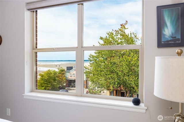 960 Harris Ave Unit 305, Bellingham, WA 98225 - detailed view of nearby water