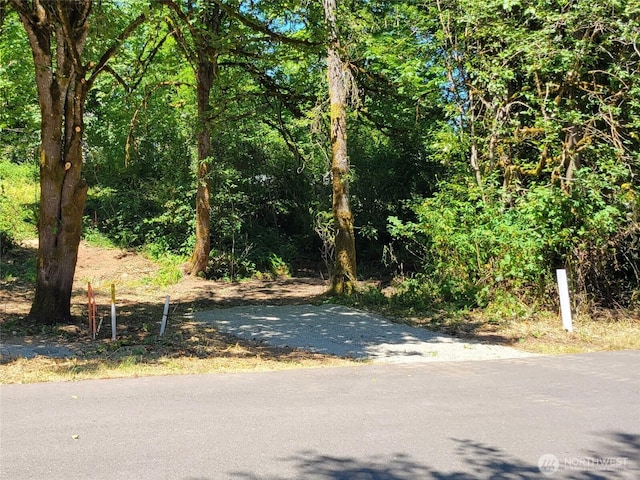 2518 Handicap Ct SW, Olympia, WA 98512 - photo 1