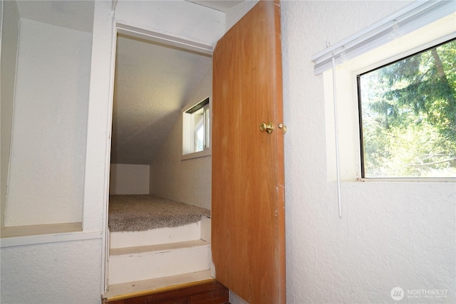 4011 147th Pl SE, Bellevue, WA 98006 - unfurnished bedroom with a textured wall, lofted ceiling, and wood finished floors