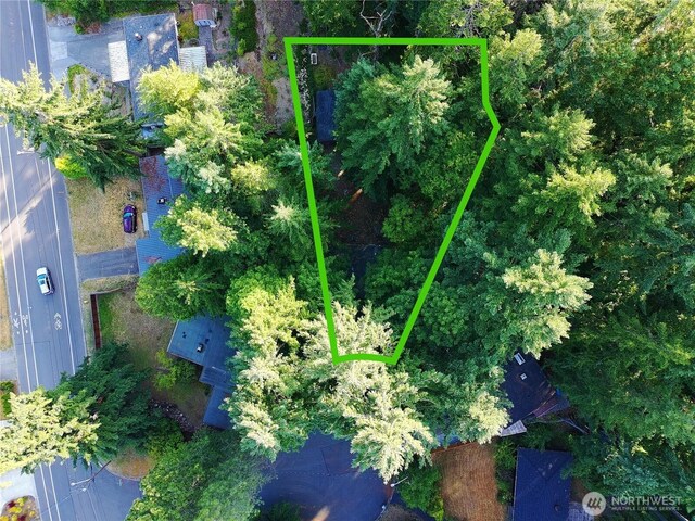 4011 147th Pl SE, Bellevue, WA 98006 - aerial view of property's location featuring property boundaries highlighted