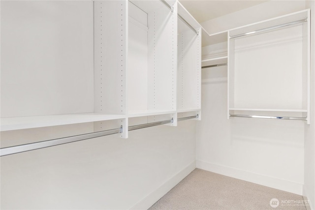 2618A E Roy St, Seattle, WA 98112 - spacious closet featuring carpet floors