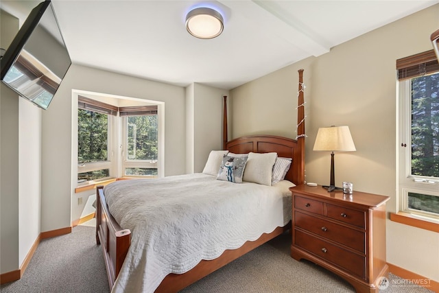 220 Kearny Dr, Snoqualmie Pass, WA 98068 - photo 31