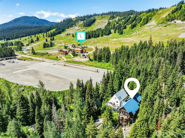 220 Kearny Dr, Snoqualmie Pass, WA 98068 - photo 39