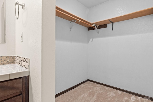 2621 Mountain View Ave W Unit 5B, Tacoma, WA 98466 - walk in closet with light carpet